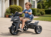 Thumbnail for Kid riding the motorbike tricycle in a driveway