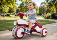 Thumbnail for Toddler riding the red plastic tricycle in a park