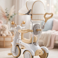 Thumbnail for Close-up of the canopy and padded seat