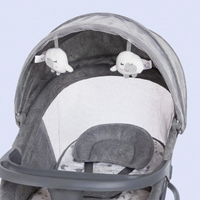 Thumbnail for Canopy with hanging cloud toys and mosquito net