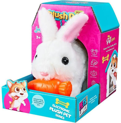 Rabbit with Carrot Musical plush Toy