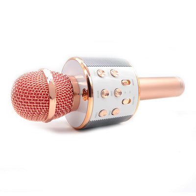 Wireless Microphone Hifi Speaker