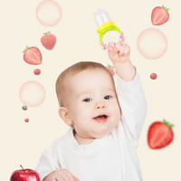 Thumbnail for Baby Fruit And Vegetable Pacifier With Rattle