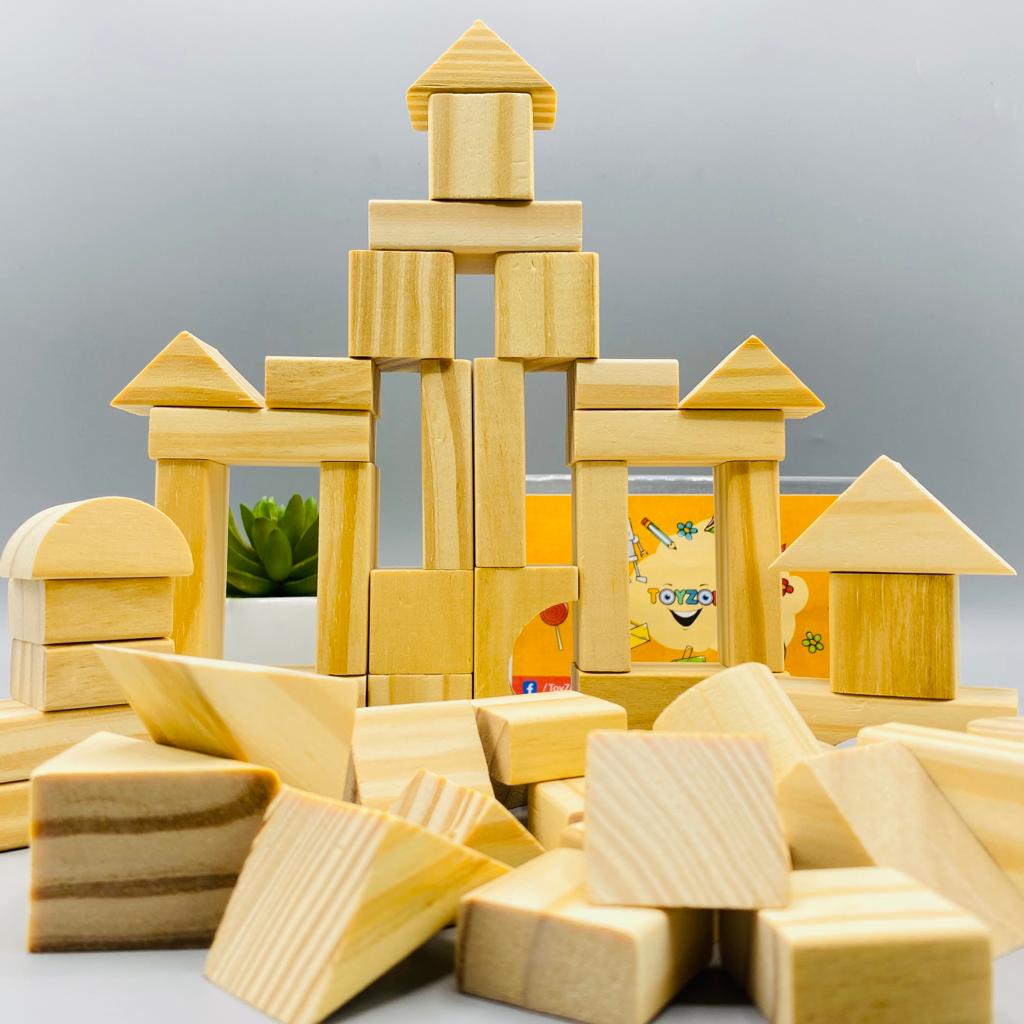 50 pcs wooden building blocks