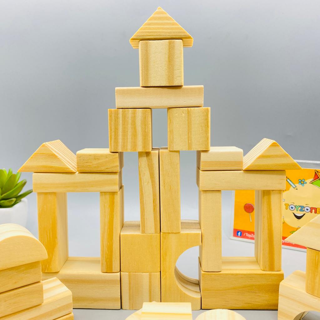 50 pcs wooden building blocks