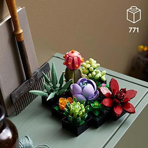 Building Blocks - Succulents