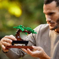 Thumbnail for Building Blocks - Bonsai Tree