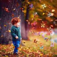 Thumbnail for Magic Flying Butterfly - 5Pcs