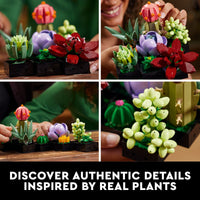 Thumbnail for Building Blocks - Succulents
