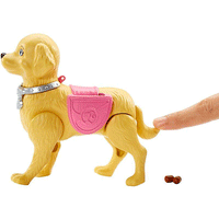 Thumbnail for barbie doll with pet