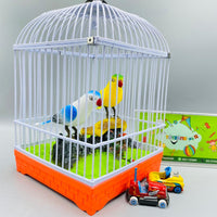 Thumbnail for birds with cage and light sound