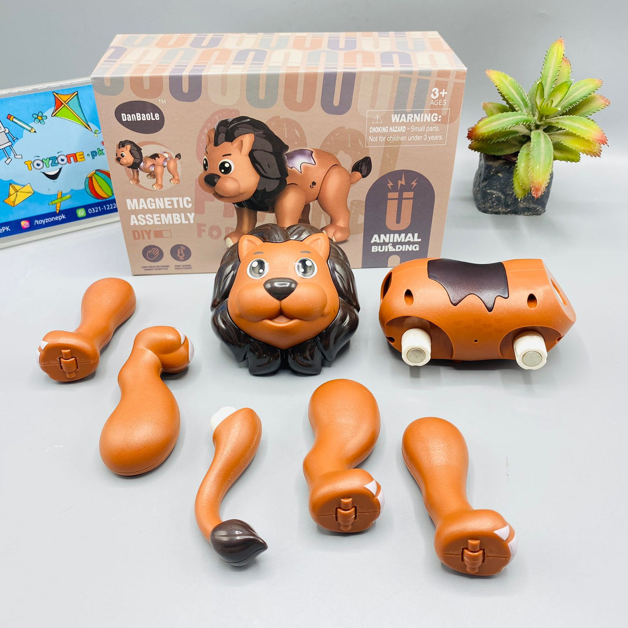 danbaole magnetic animal building