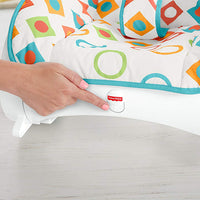 Thumbnail for fisher price infant to toddler rocker 1