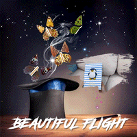 Thumbnail for Magic Flying Butterfly - 5Pcs