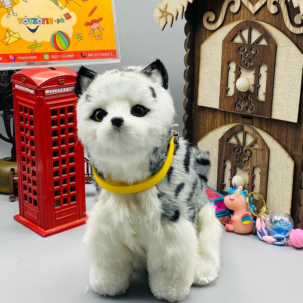 little alive punched face persian cat black grey
