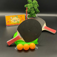 Portable Table Tennis Set with 2 Racket - TZP1