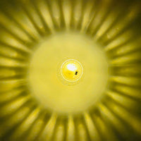 Thumbnail for Table Side Lamp (4 inch)