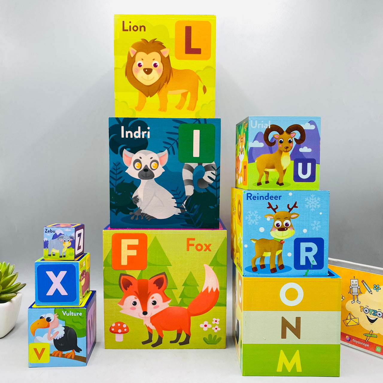 Letter Box Names Educational Wood Letter Boxes – ToyZone.Pk