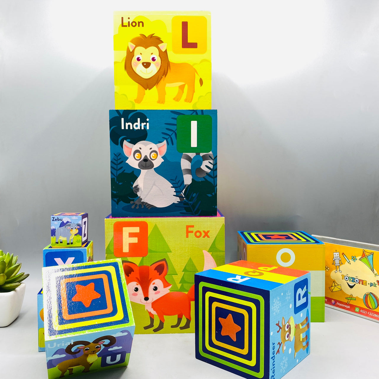 Educational Wood Letter Boxes