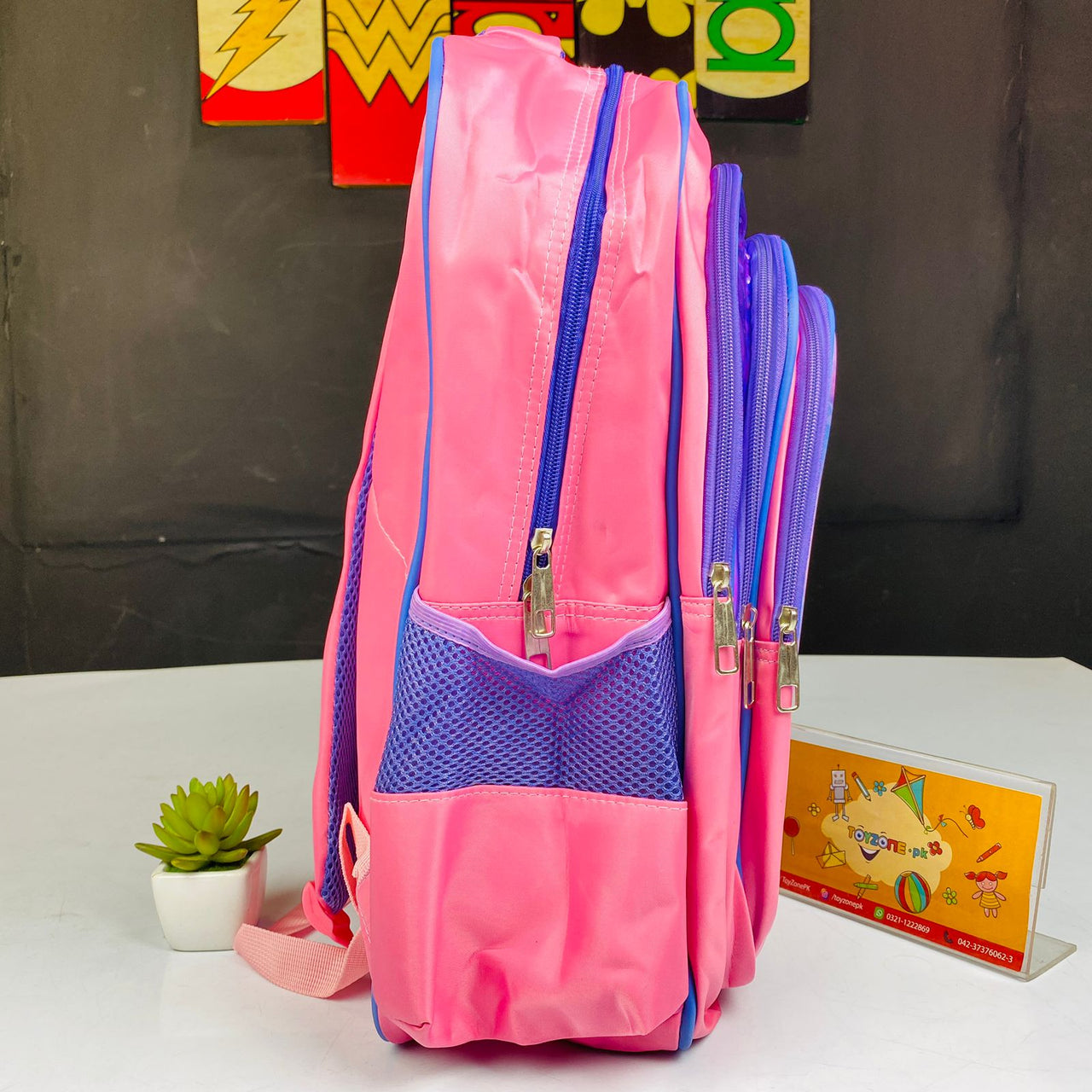 Frozen Girl Printed School Bag For Kids