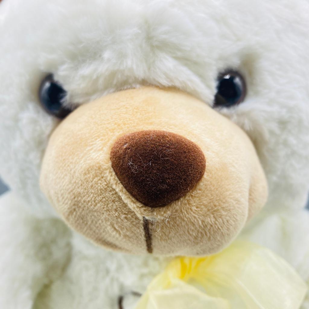 White Cute Teddy Bear Stuff Toy