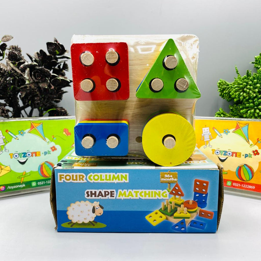 Wooden Shape Puzzle Blocks