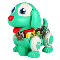Thumbnail for Transparent Gear Walking Dog Toy