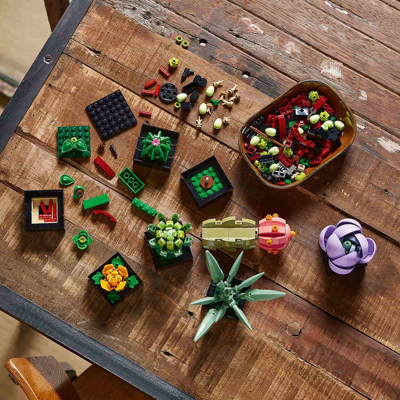 Building Blocks - Succulents