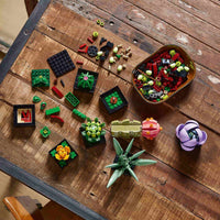 Thumbnail for Building Blocks - Succulents